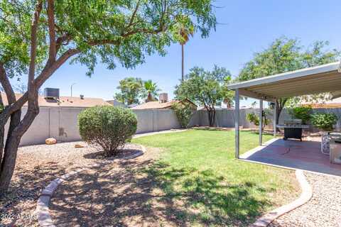 Jasmine, MESA, AZ 85201