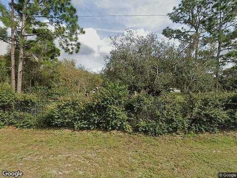 Lacebark Pine, ORLANDO, FL 32832