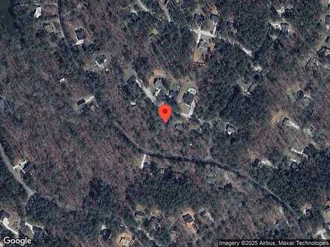 Kingbird, MONTICELLO, GA 31064