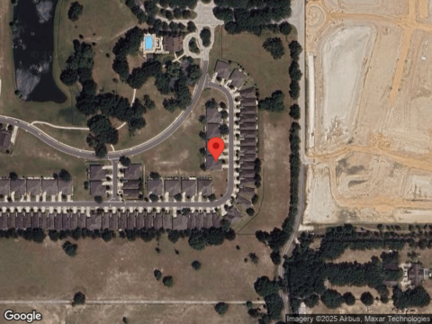 Belgian, MOUNT DORA, FL 32757