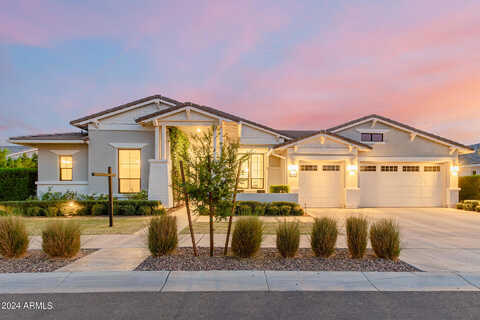 Pummelos, QUEEN CREEK, AZ 85142