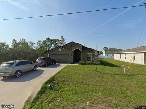 Hyacinth, KISSIMMEE, FL 34759