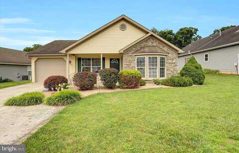 Lantern, SHIPPENSBURG, PA 17257