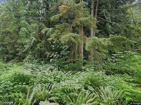 154Th, GRAHAM, WA 98338