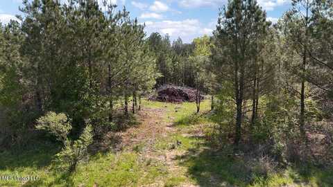 290 Mt. Helm Road, Brandon, MS 39047