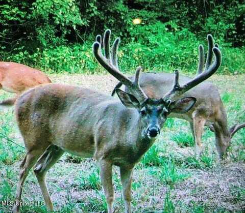 0001 Coxs Ferry Road, Bolton, MS 39041