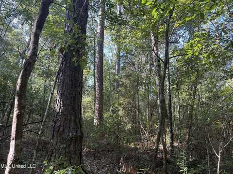 Washam Road, Lucedale, MS 39452