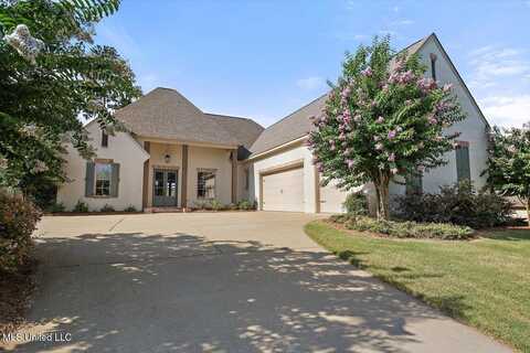 111 Wingspan Way, Madison, MS 39110
