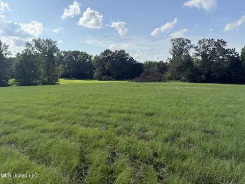17.9 Thyatira-Tyro Road, Senatobia, MS 38668
