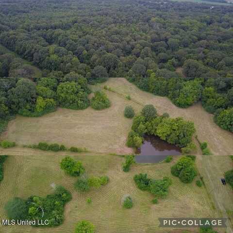 Hwy 305, Coldwater, MS 38618