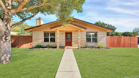 Cardinal, NEW BRAUNFELS, TX 78130