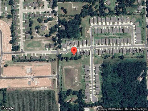 River Otter, DELAND, FL 32720