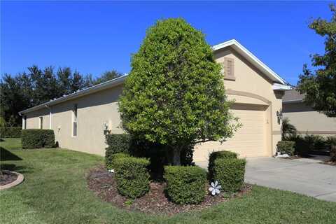 Orca, HOLIDAY, FL 34691