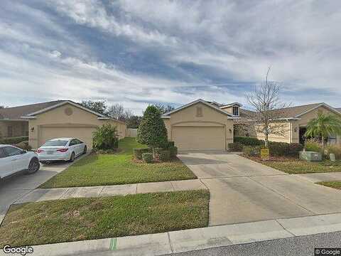 Orca, HOLIDAY, FL 34691