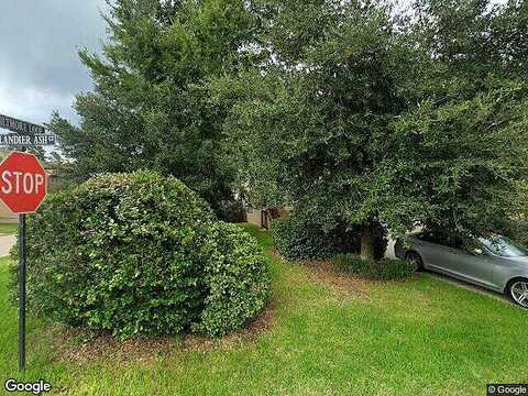 Berlandier Ash, MONTGOMERY, TX 77316