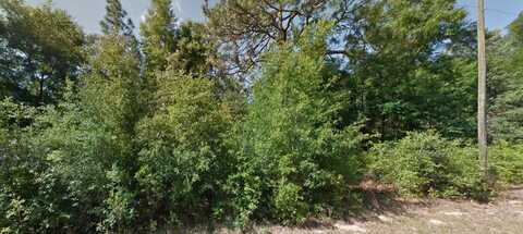 1952 W BEACH PLUM DRIVE, CITRUS SPRINGS, FL 34434