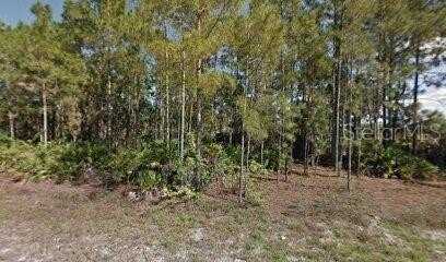 461 LACKEY AVENUE S, LEHIGH ACRES, FL 33974