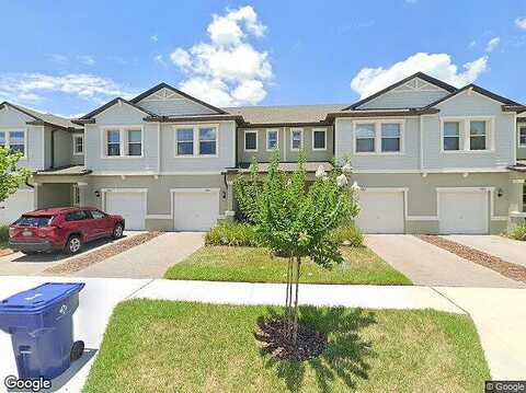 Lyonia, LAND O LAKES, FL 34637