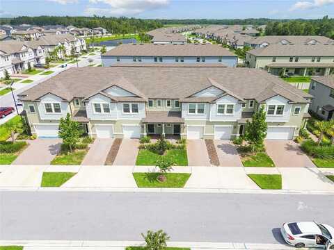 Lyonia, LAND O LAKES, FL 34637