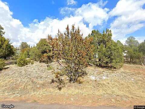 Lookout, OVERGAARD, AZ 85933