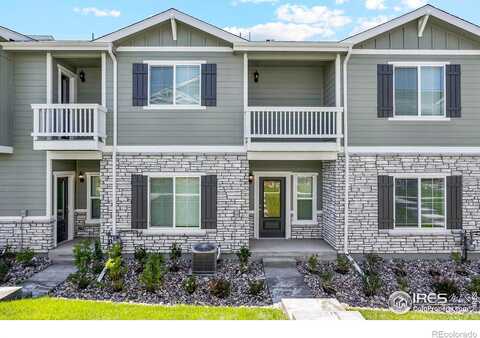 Robin, JOHNSTOWN, CO 80534