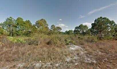 241 NANCY AVENUE S, LEHIGH ACRES, FL 33974