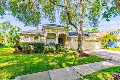 6119 VIREORIDGE DRIVE, LITHIA, FL 33547