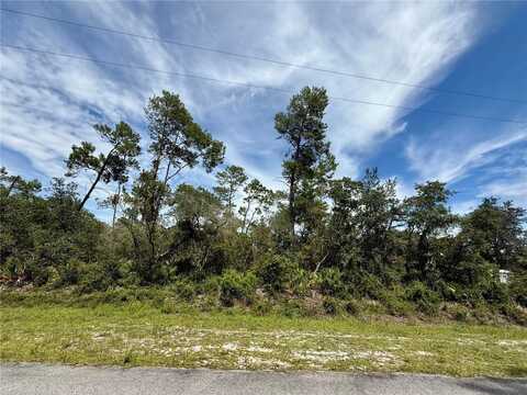 Lot 1 DAHLIA STREET, EUSTIS, FL 32736