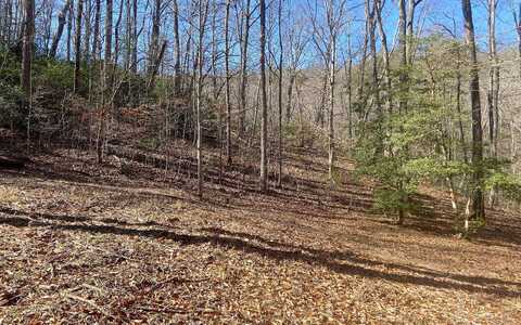 Youngblood, BLAIRSVILLE, GA 30512