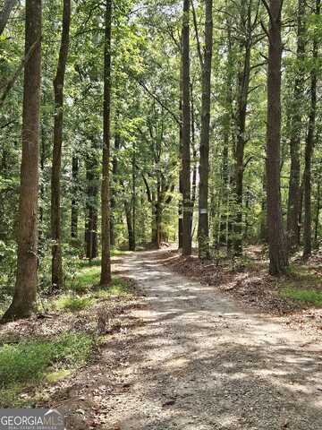 Gordon Rd, Senoia, GA 30276