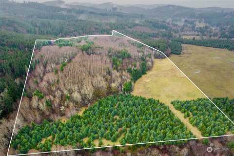 Xx South Fork Road, Raymond, WA 98577