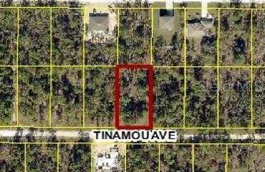 13075 TINAMOU AVENUE, WEEKI WACHEE, FL 34614