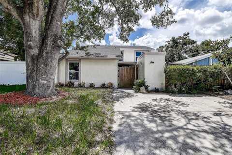 10303 PENNYTREE PLACE, TAMPA, FL 33624