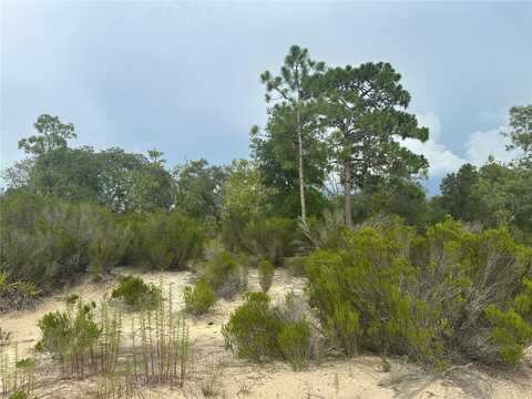 NE 85TH ST, BRONSON, FL 32621