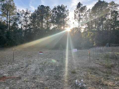 307 MALLARD ROAD, SATSUMA, FL 32189