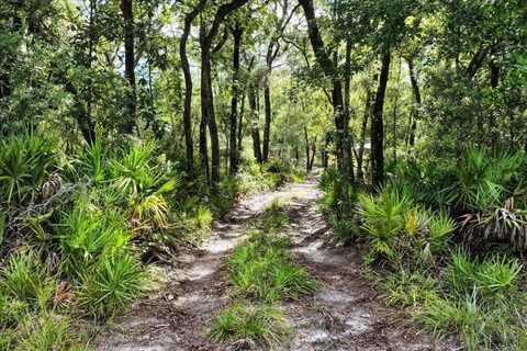 0000 SW COUNTY ROAD 347, CHIEFLAND, FL 32626