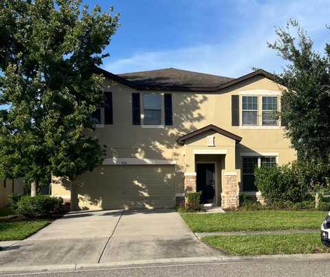 9118 MOUNTAIN MAGNOLIA DRIVE, RIVERVIEW, FL 33578