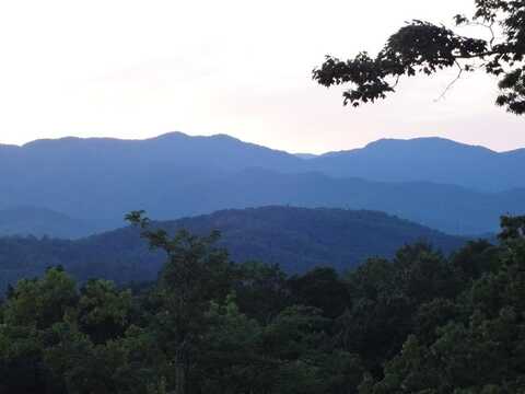 247 Rice Lane, MARBLE, NC 28905