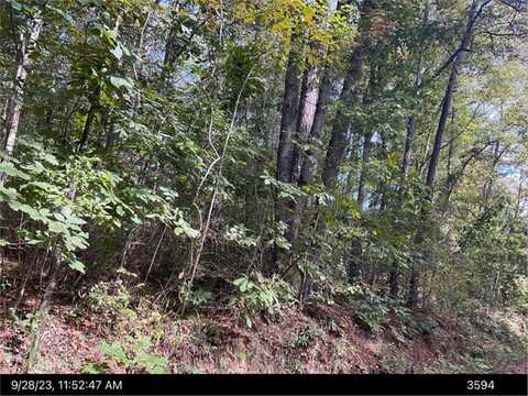 Lot C 15 Eleanor Drive, Ivey, GA 31031