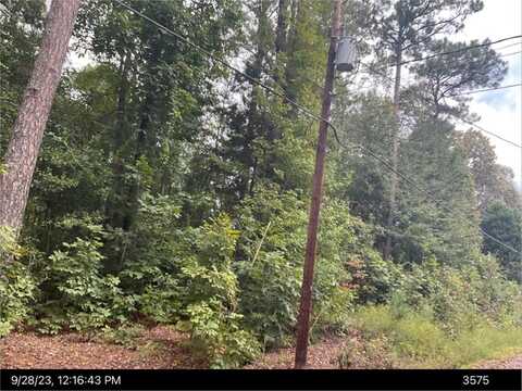 V01307 Pine Bluff Drive, Ivey, GA 31031