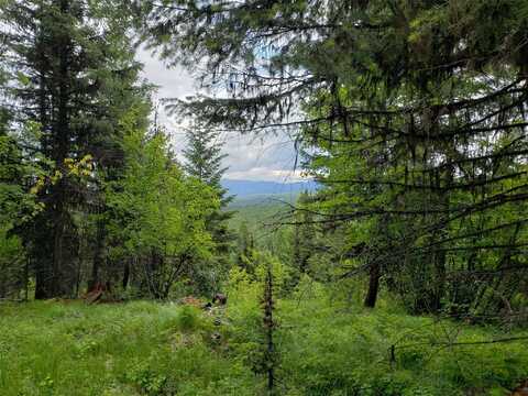 Butcher Creek Road, Trego, MT 59934