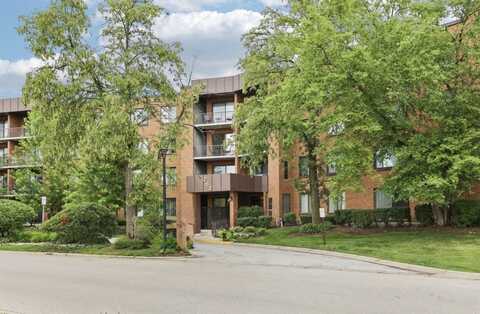 263 S Clubhouse Drive, Palatine, IL 60074