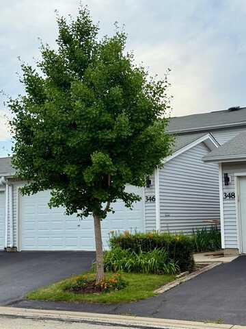 346 Hazelwood Terrace, Buffalo Grove, IL 60089