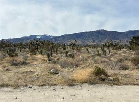 0 Mono Road, Pinon Hills, CA 92372