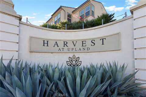 839 Cranberry Way, Upland, CA 91786