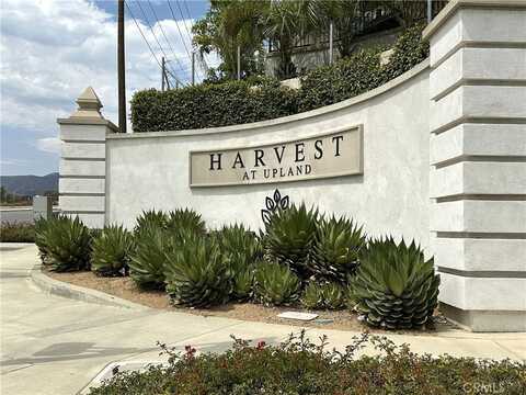839 Cranberry Way, Upland, CA 91786