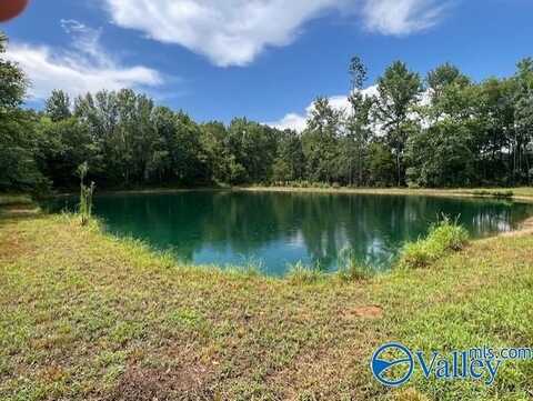720 County Road 54, Moulton, AL 35650