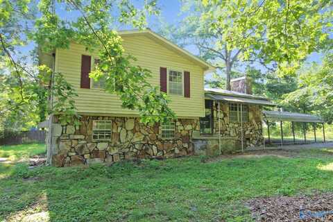 247 Sherwood Blvd, Fyffe, AL 35971