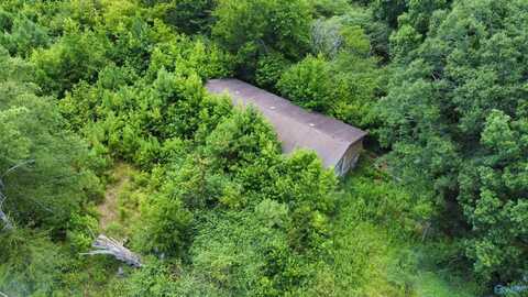 471 Tanyard Road, Altoona, AL 35952