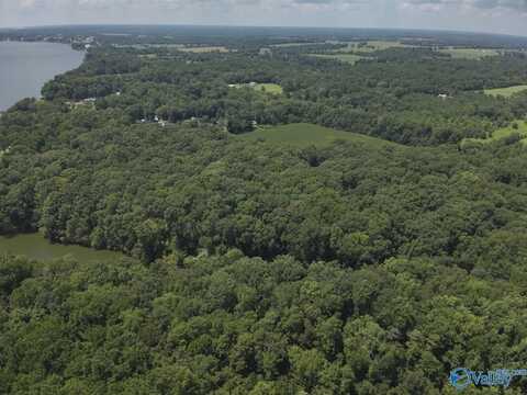 49.59 +/- Acres Snake Road, Athens, AL 35611